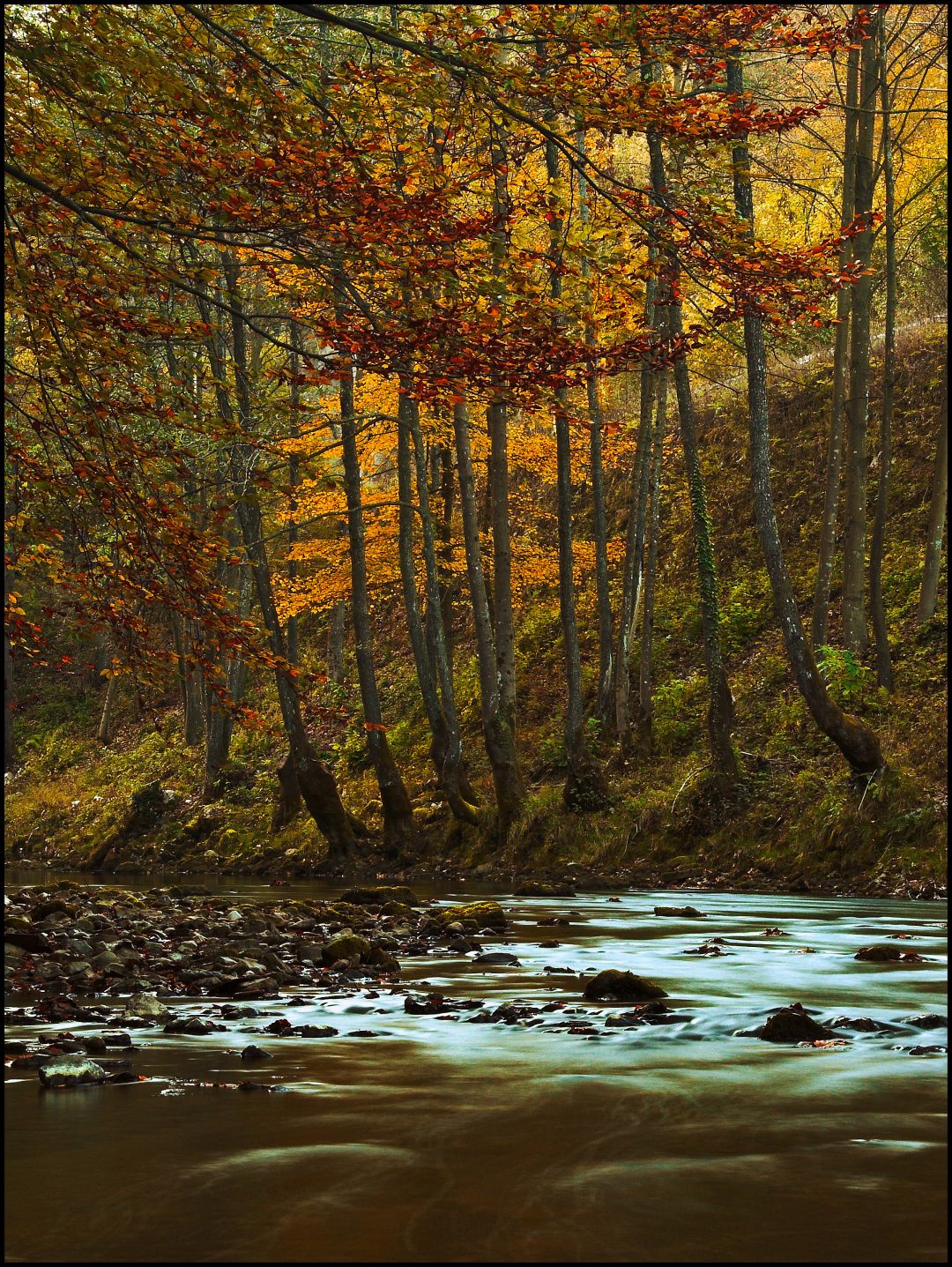 Kamačnik, idealno mjesto za aktivni odmor | Visit Vrbovsko