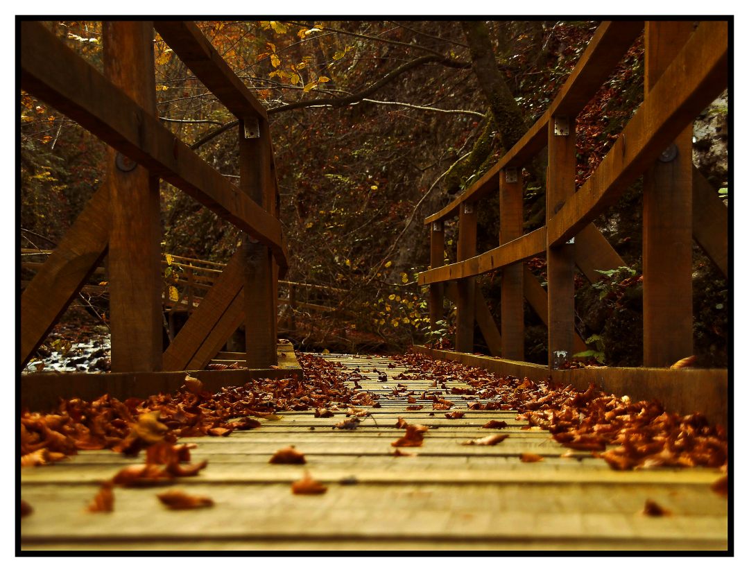 Kamačnik, idealno mjesto za aktivni odmor | Visit Vrbovsko