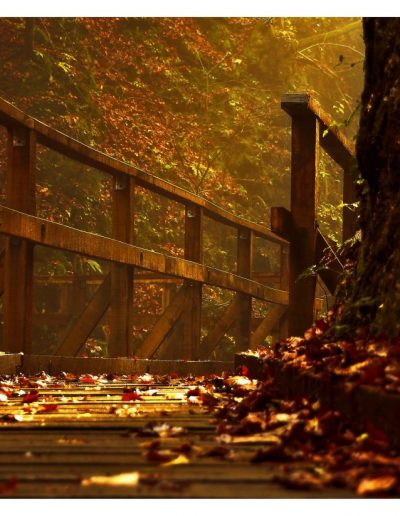 Kamačnik, idealno mjesto za aktivni odmor | Visit Vrbovsko