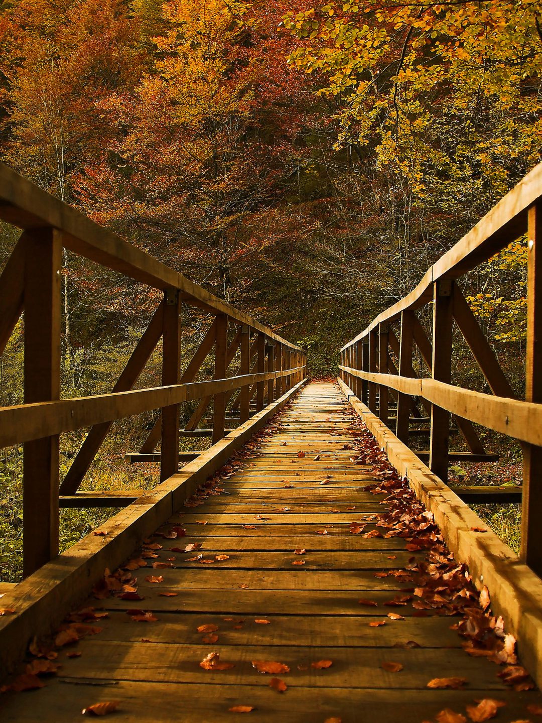 Kamačnik, idealno mjesto za aktivni odmor | Visit Vrbovsko