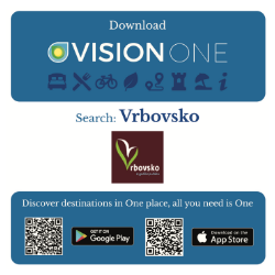 vision one