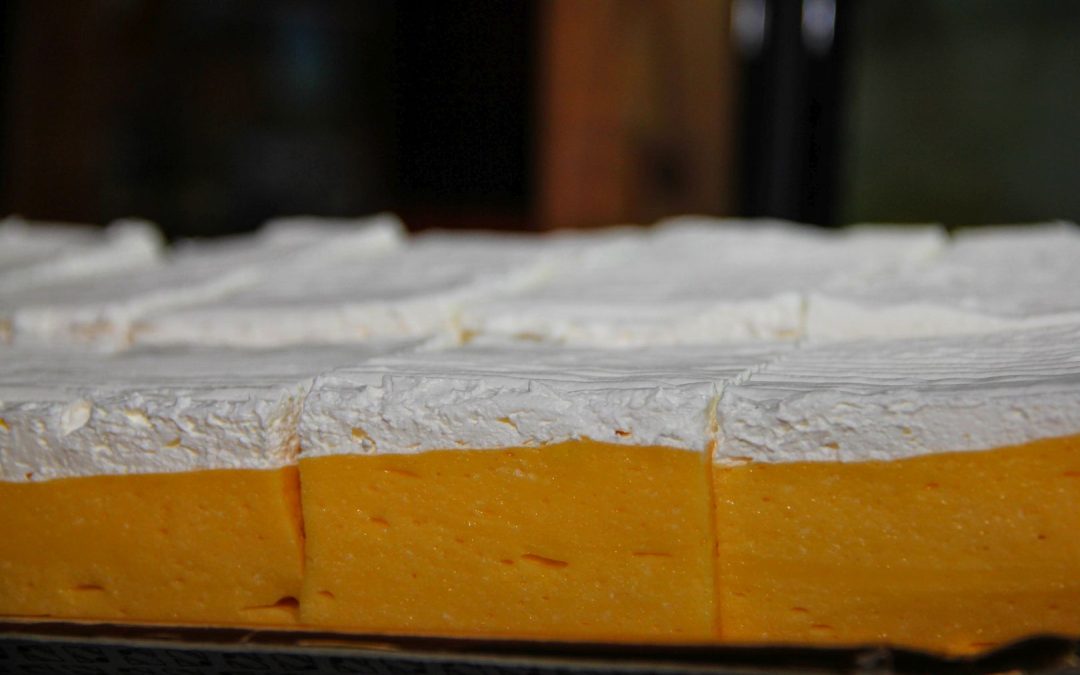 bundevijada_2022i_011