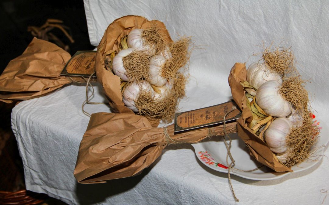 bundevijada_2022i_018
